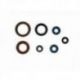 Athena, sada gufer motoru, KTM SXF250`16-21, SXF350`16-19, EXCF250/350`16-19, Husqvarna FC 250/350 16-21,